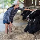 В Кузбассе построят новый животноводческий комплекс